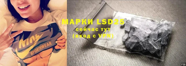 PSILOCYBIN Алзамай
