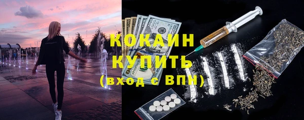 кокс Алексин